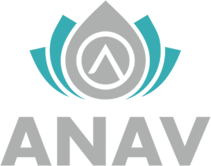 Anav Infra Steel